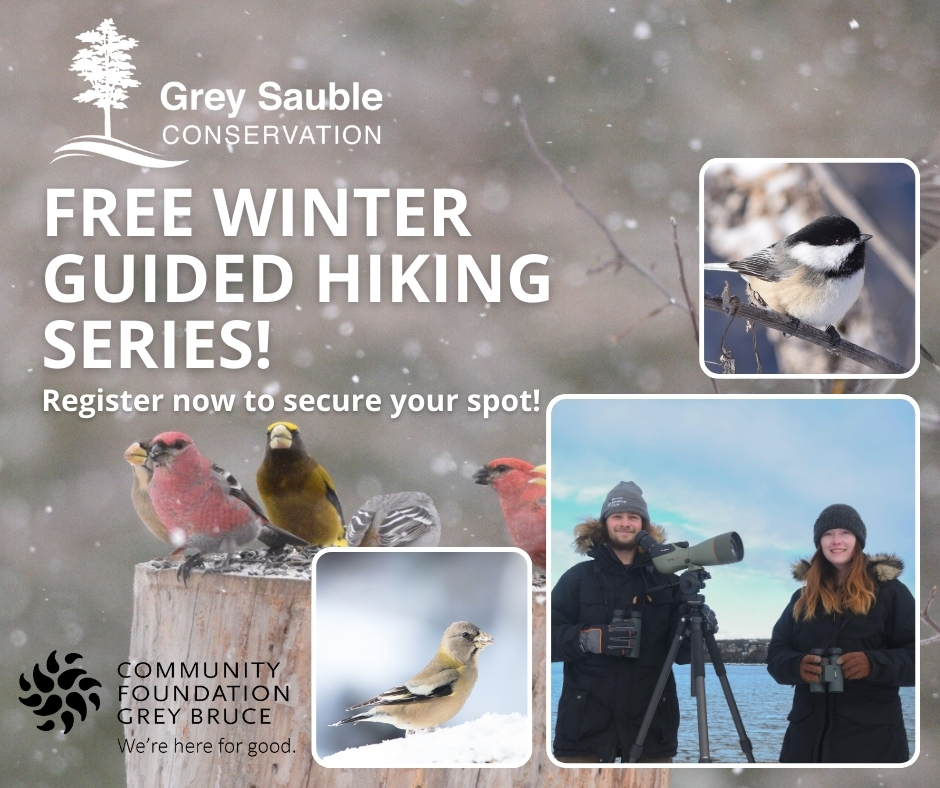 Event image Free Winter Guided Hiking Series